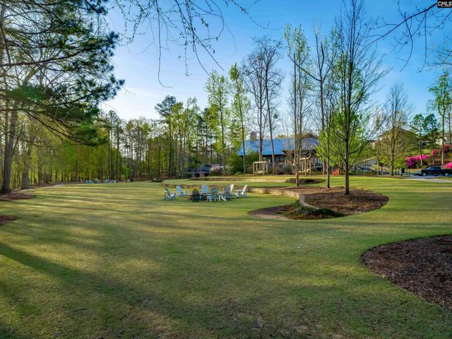 1067 Arbor Stroll Way, Lexington, SC 29072