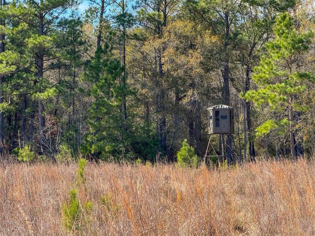 0000 Hwy 61, Devers, TX 77538