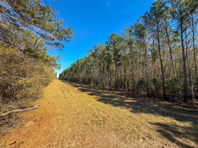 0000 Hwy 61, Devers, TX 77538