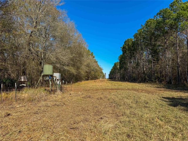 0000 Hwy 61, Devers, TX 77538