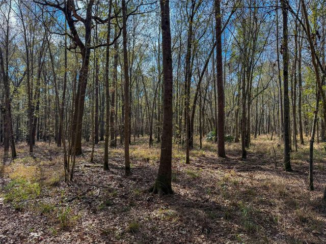 0000 Hwy 61, Devers, TX 77538