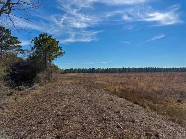 0000 Hwy 61, Devers, TX 77538