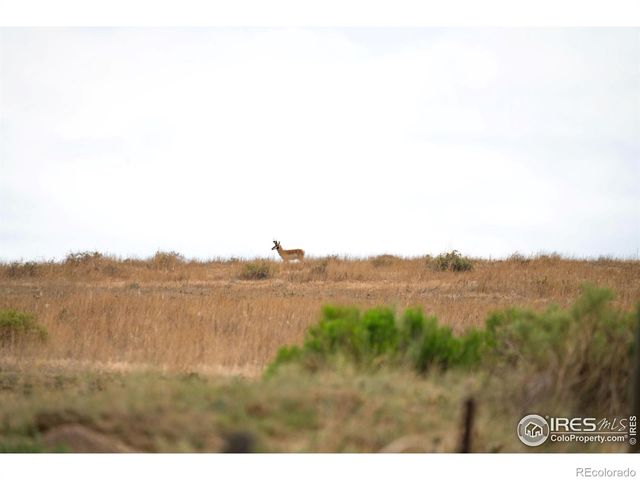 0 Weld County Road 90, Ault, CO 80610