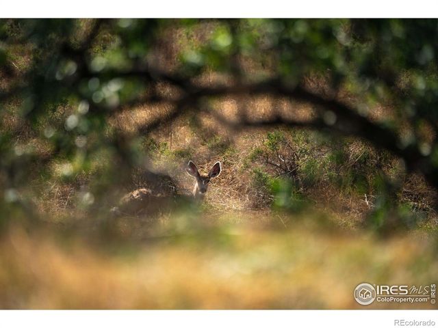 0 Weld County Road 90, Ault, CO 80610