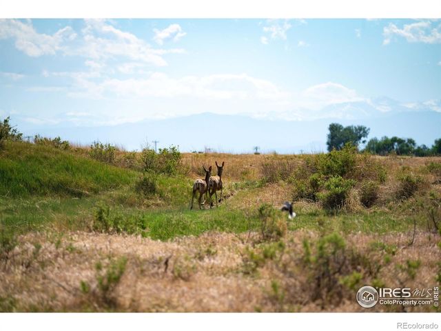 0 Weld County Road 90, Ault, CO 80610