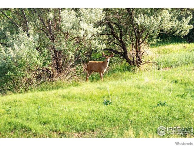 0 Weld County Road 90, Ault, CO 80610