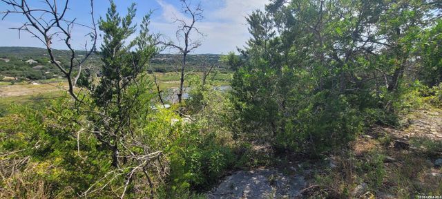 LOT 32 Park Grove, Spring Branch, TX 78070
