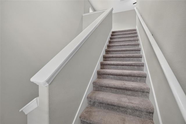 4907 WILD SENNA BOULEVARD, Tampa, FL 33619