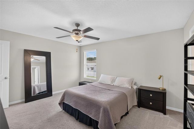 4907 WILD SENNA BOULEVARD, Tampa, FL 33619