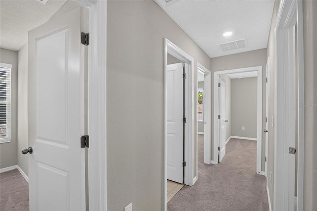 4907 WILD SENNA BOULEVARD, Tampa, FL 33619