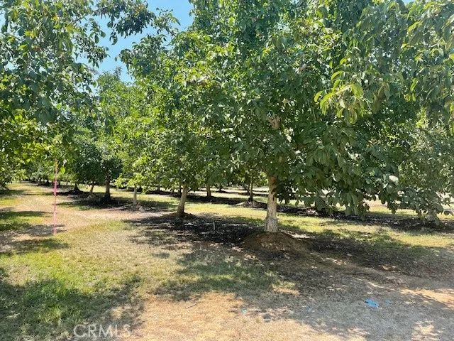 774 Lattin Rd, Biggs, CA 95917