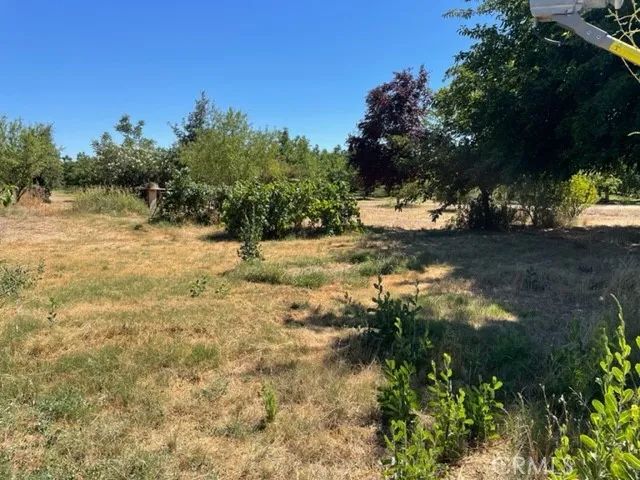 774 Lattin Rd, Biggs, CA 95917