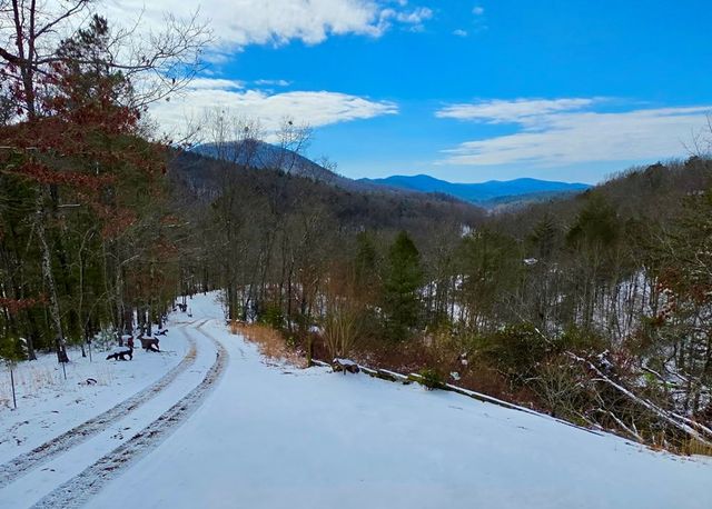 32 Ivey Ridge, Suches, GA 30572