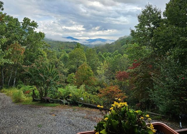 32 Ivey Ridge, Suches, GA 30572
