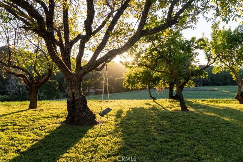 Image 67 of property listing at 5250 , 5260 Vineyard, Paso Robles, CA 93446