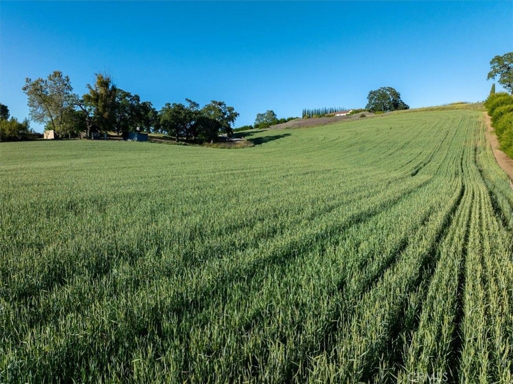 Image 68 of property listing at 5250 , 5260 Vineyard, Paso Robles, CA 93446