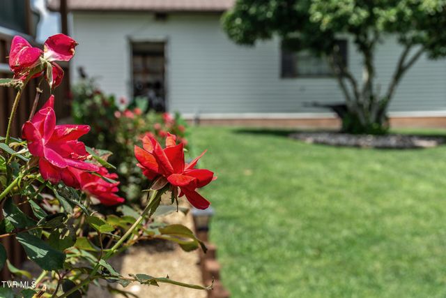1145 Ricker Road, Greeneville, TN 37743