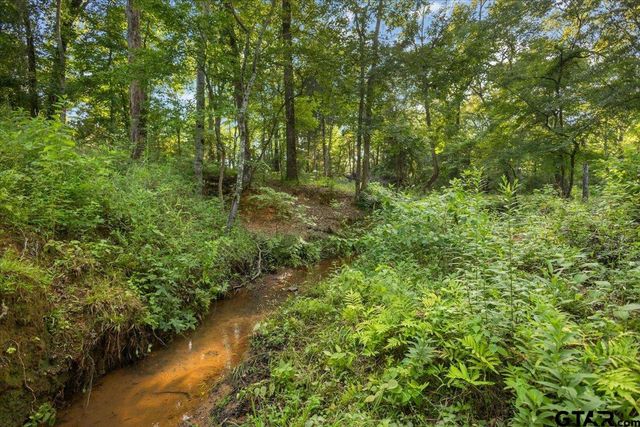 19669 County Road 431, Lindale, TX 75771