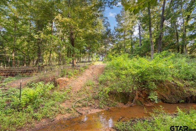 19669 County Road 431, Lindale, TX 75771