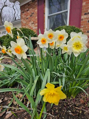 28W486 Mack Road, West Chicago, IL 60185