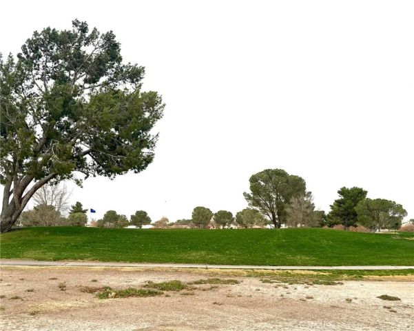 27424 Cloverleaf Drive, Helendale, CA 92342