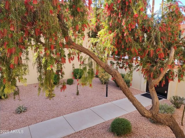 10330 W THUNDERBIRD Boulevard C228, Sun City, AZ 85351