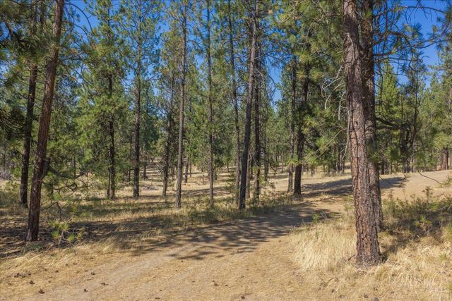 1110 1/2 S Brooks Rd, Medical Lake, WA 99022