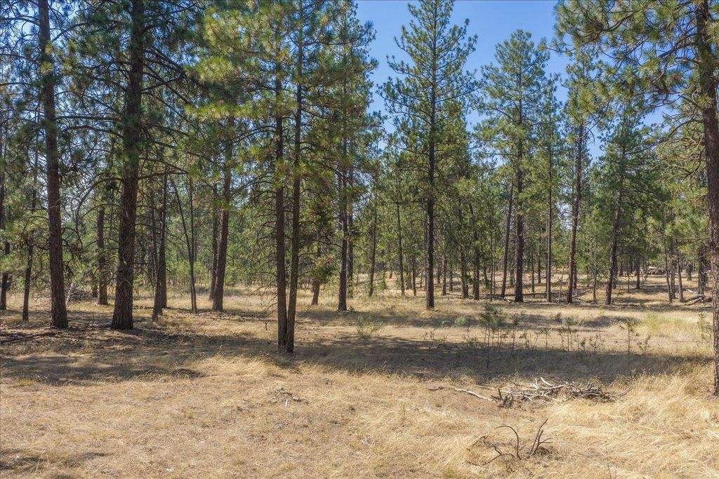 1110 1/2 S Brooks Rd, Medical Lake, WA 99022 photo 3