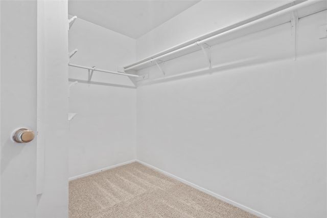 15506 Sungold Court, Houston, TX 77095