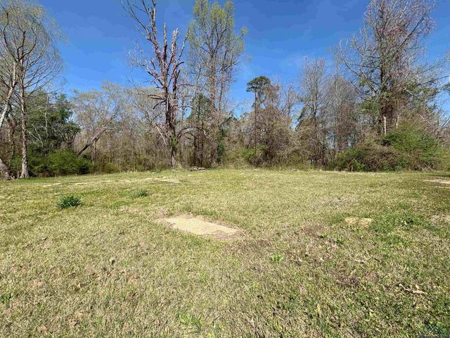 68 Eason Lane, Atlanta, TX 75551