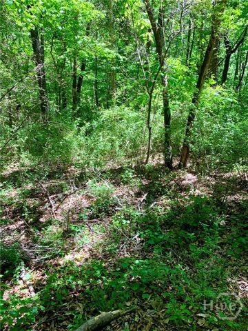 0 Martin Luther King Jr Drive, Commerce, GA 30529