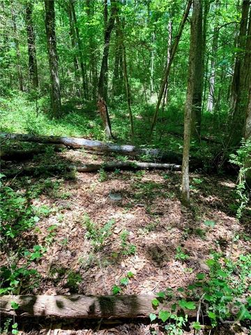 0 Martin Luther King Jr Drive, Commerce, GA 30529