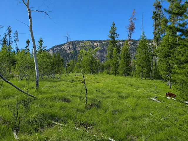 Lot 26 TBD Mitchell Drive, Anaconda, MT 59711 property photo