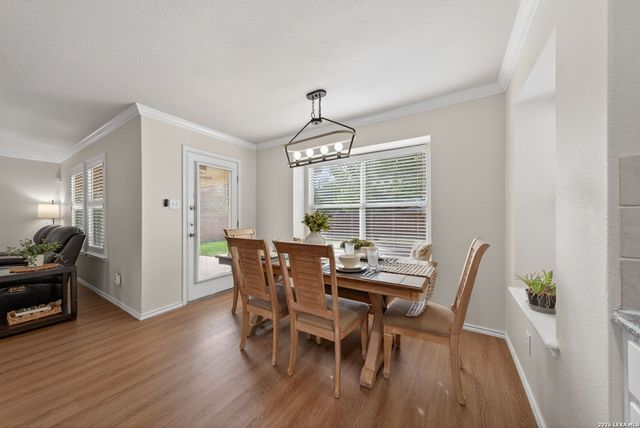 11123 PALOMINO BND, San Antonio, TX 78254