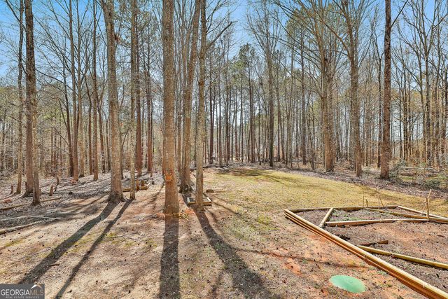 1209 N Hampton Drive, Hampton, GA 30228