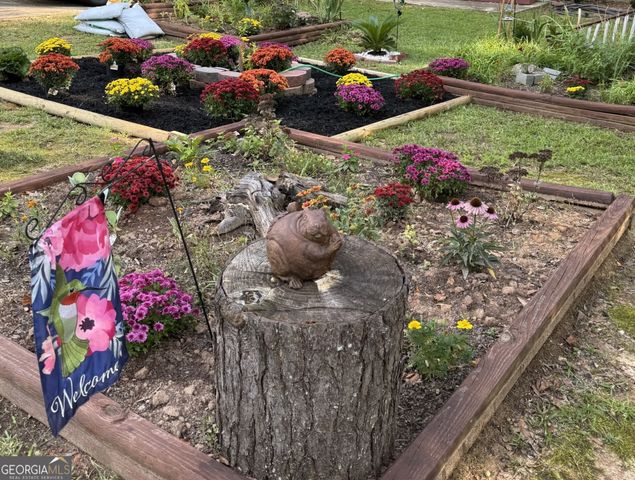 1209 N Hampton Drive, Hampton, GA 30228