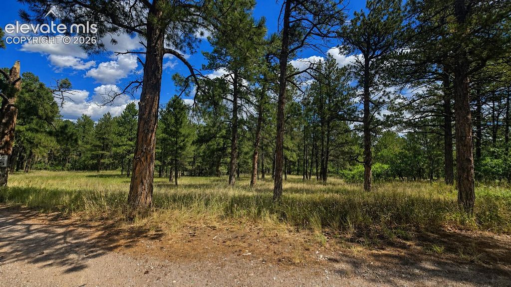 00 Westwood Road, Colorado Springs, CO 80919 — photo 2