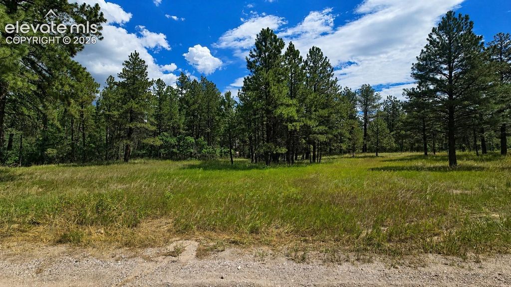 00 Westwood Road, Colorado Springs, CO 80919 — photo 4