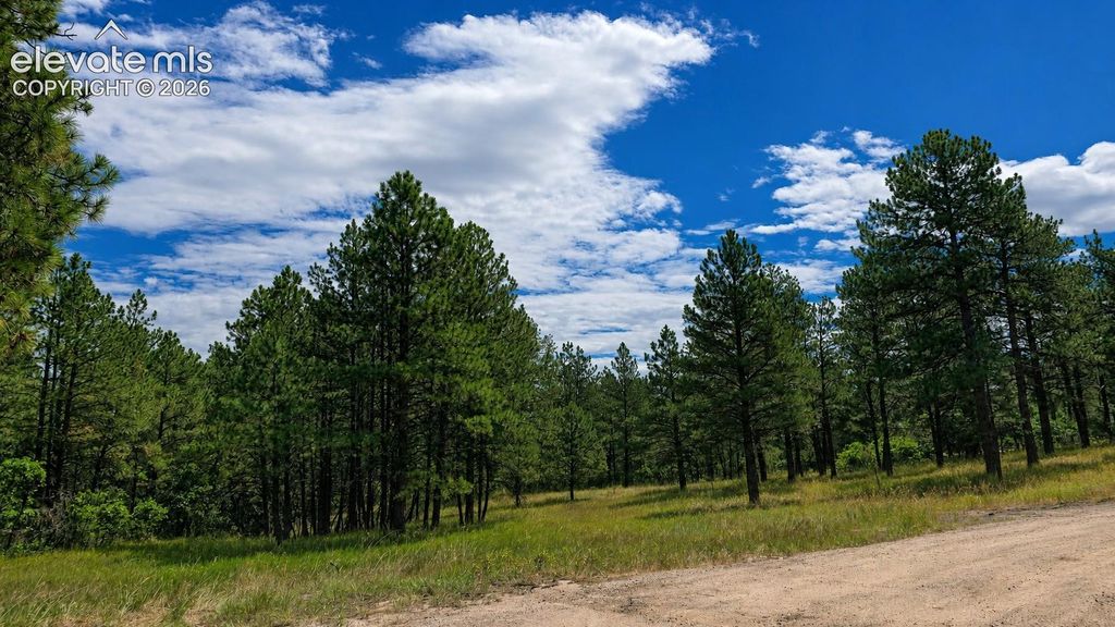 00 Westwood Road, Colorado Springs, CO 80919 — photo 5