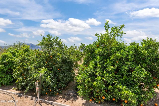 48234 N 513TH Avenue, Aguila, AZ 85320