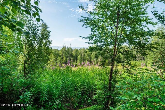 2276 E Ridgeview Drive, Wasilla, AK 99654