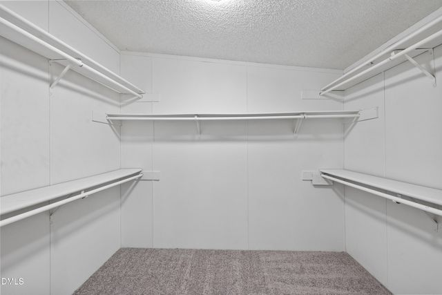 113 Pineview Drive, Louisburg, NC 27549