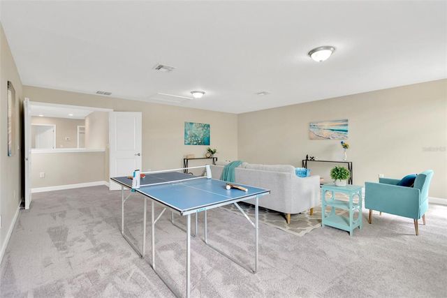 10004 CELTIC ASH DRIVE, Ruskin, FL 33573