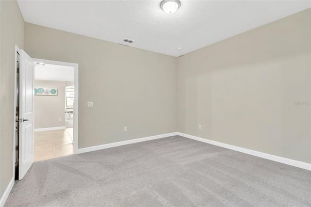 10004 CELTIC ASH DRIVE, Ruskin, FL 33573