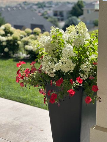 1294 White Bluffs, Richland, WA 99352