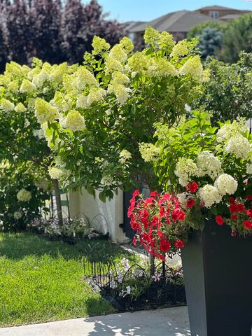 1294 White Bluffs, Richland, WA 99352