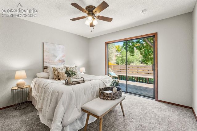 215 Twain Court, Colorado Springs, CO 80916