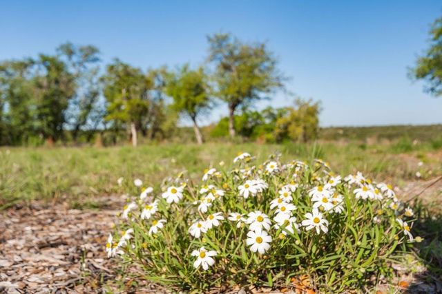 21411 Hamilton Pool RD, Dripping Springs, TX 78620