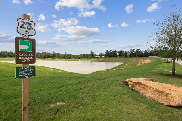 15695 Honey Cove Drive, Conroe, TX 77303