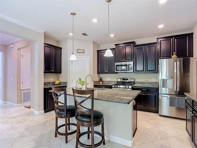 17488 TERRAZZO WAY, Land O Lakes, FL 34638